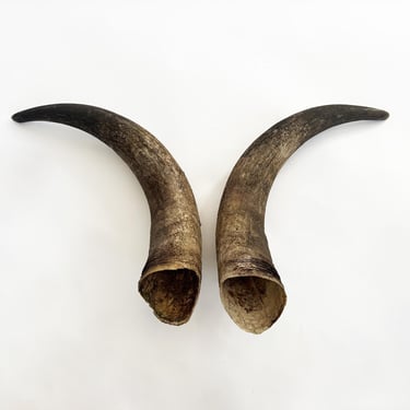 Primitive Longhorn Bull Horns Southwest Décor - Set of 2 