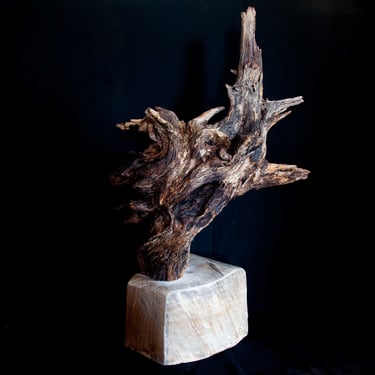 Wabi Sabi Root Wood Sculpture 