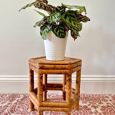 Vintage Small Tortoiseshell Bamboo Plant Stand - Hexagon | Soulful Vintage  - Miami, FL | ATTIC