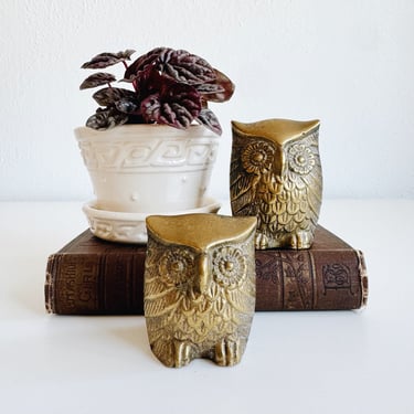 Brass Owls