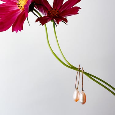 Amaranth Hoops // Freshwater Blush Pearl & 14k Gold Filled Drop Earrings 