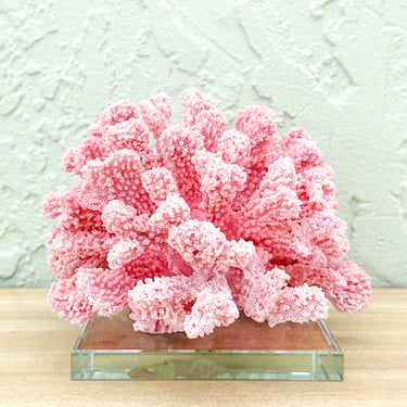 Pink Chic Coral on Lucite