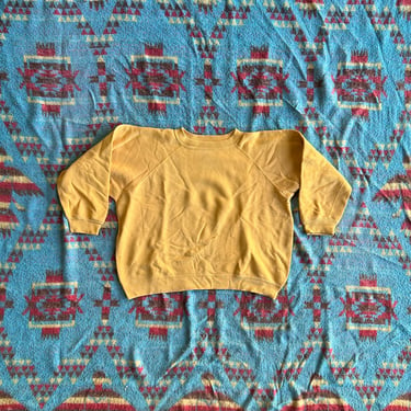 Vintage 1960s Raglan Blank Athletic Sweatshirt 
