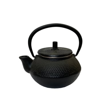 Handmade Quality Asian Cast Iron Teapot Shape Display Art ws2373E 