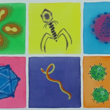 Rainbow of Viruses  - original watercolor painting - microbiology art 