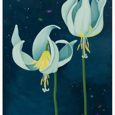 "Fawn Lilies" Giclee Fine Print