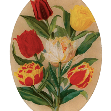 John Derian | Tulip Bouquet 10x14 Oval Platter