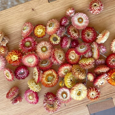 50 Apricot Peach Yellow Assorted Dried Strawflower Heads, Strawflower heads, Dried flowers, Apricot Peach wedding 