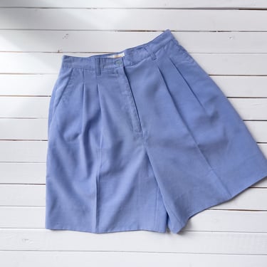 high waisted shorts | 80s 90s vintage pastel sky blue pleated shorts 