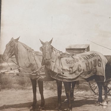 Early 1900s Horse Advertising Photography from North Dakota - Deering ND - O.C. Haug - Antique Merchant Photograph - Frontier Advertisements 
