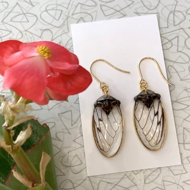 Cicada Head and Wing Earrings by flora.bee.kc