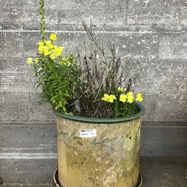 Vintage Garden Planter (Seattle)