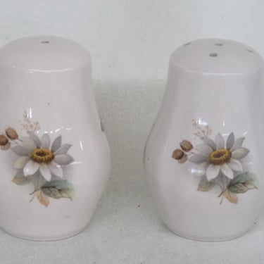 Staffordshire Ceramic Daisey Flowers Set of Salt and Pepper Shakers 3837B