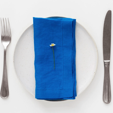 Linen Napkins Set of 2 | French Blue