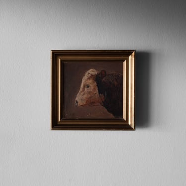 Portrait of a Bull