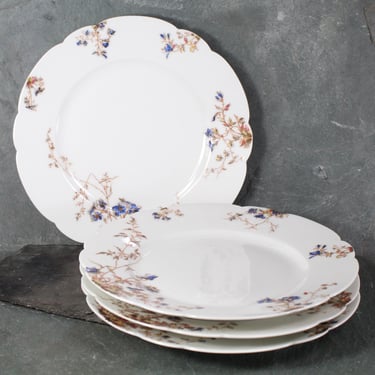 Set of 4 Haviland & Co Luncheon Plates | Limoges Haviland 8 1/2" Blue Flowers with Grey Leaves Design Scalloped Edge | Bixley Shop 