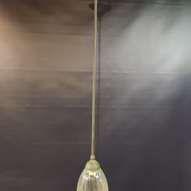 Pendant Light with Rod and Clear Glass Shade 5.75