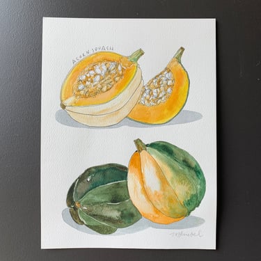 Acorn Squash Original Watercolor Painting