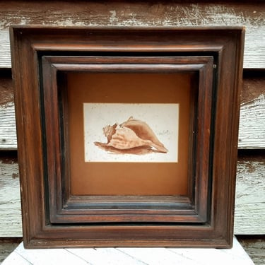 Antique Deep Well Frame - Toby Smith Conch Shell Watercolor