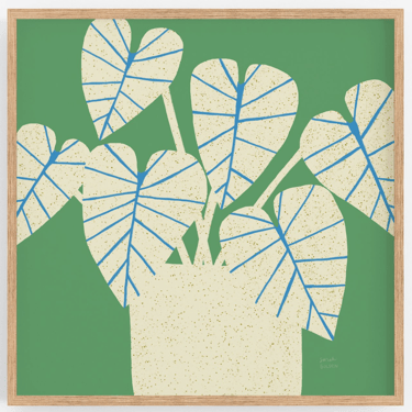 Philodendron Gloriosum Houseplant Print