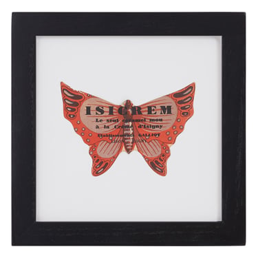 Vintage Orange Butterfly