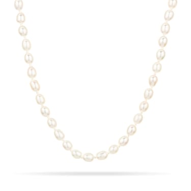 Chunky Seed Pearl Necklace - 14k Yellow Gold