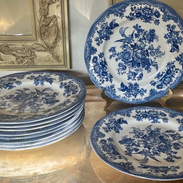 Blue and White Asiatic Pheasant Dinner Plates Set of Ten 