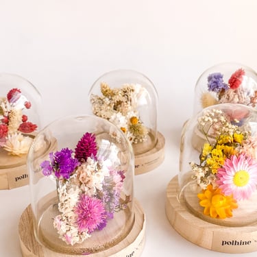 Medium Dried Flower Cloche