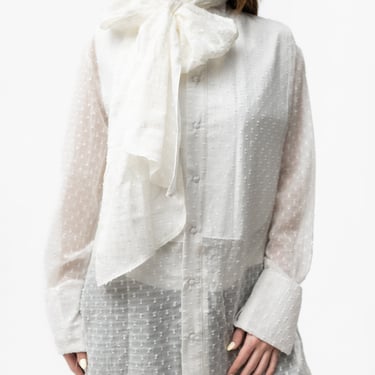 Semi-Sheer Polka Dot Tie Neck Blouse