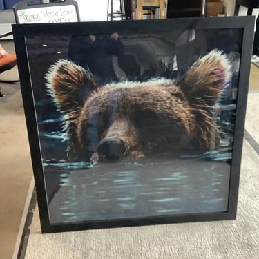 Swimming Bear Photograph Print