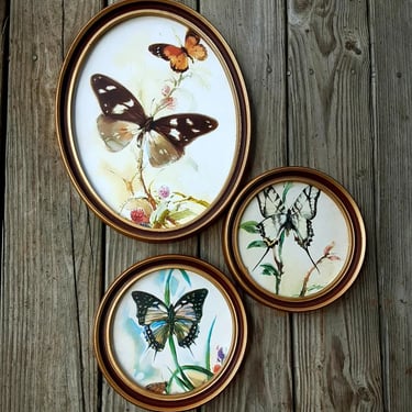 Three Framed B Ballestar Watercolor Butterfly Prints - In Oval Frames