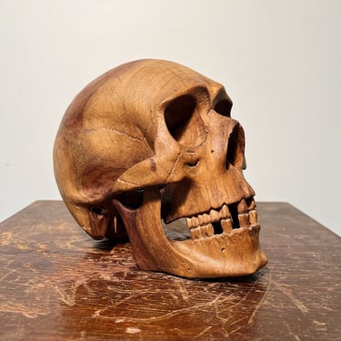 Antique Memento Mori Wood Skull - Rare American Folk Art - Turn of the Century Hand Carved Life Sized Ornate Carving - Medical Model Carving 