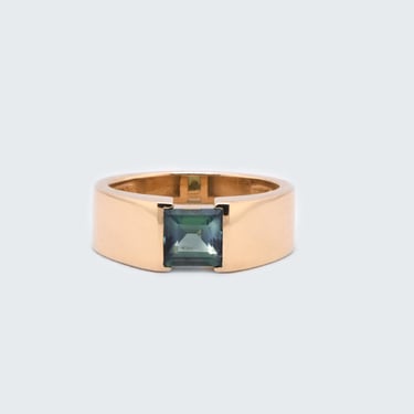 Logan Princess Cut 1.14ct Teal Montana Sapphire Engagement Ring