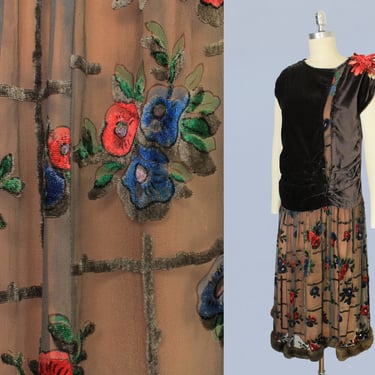 1920s Dress/ 20s Velvet and Sheer Painted Chiffon Dress / Fur Trim 