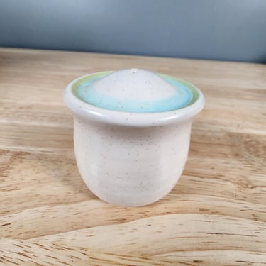 One Franciscan Tulip Time Salt and Pepper Shaker 