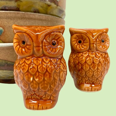 Vintage Salt and Pepper Shakers Retro 1970s Bohemian + Owls + Ceramic + Warm Brown Color + Set of 2 + Spice Storage + Kitchen + Bird Decor 