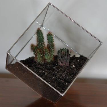 Earth Terrarium Kit, large cube glass planter in copper or silver color -- terrarium supplies -- eco friendly 