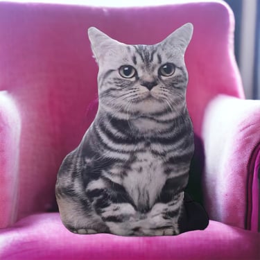 Grey Striped Cat Pillow
