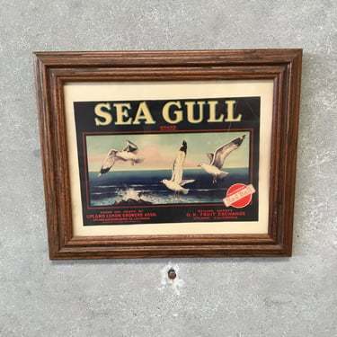 Framed Fruit Label - Circa 1940-60's "Seagull Lemons"