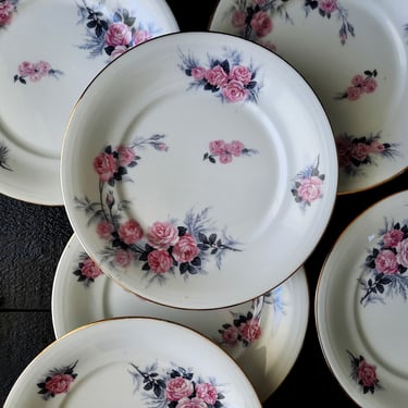 1 to 6 Heavy Antique Limoges Plate White Ceramic Flat Plates with Pink Flowers, Faience Plates Vintage, Romantic Plate, for ONE 