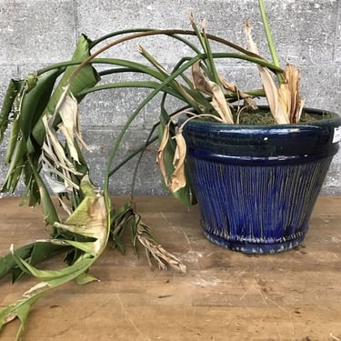 Blue Glazed Planter (Seattle)