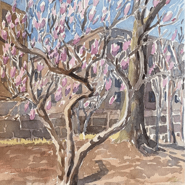 Susan Greenstein | "Early Blossoms" Print