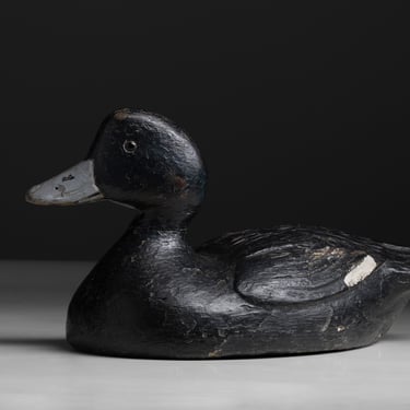 Duck Decoy