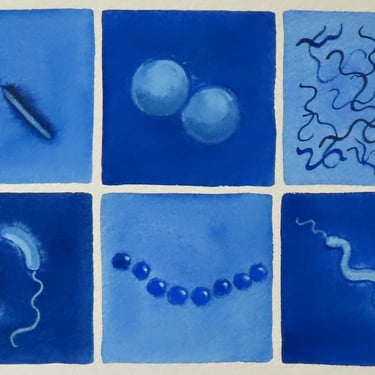 Blue Bacteria - original watercolor painting of microbes - microbiology art 