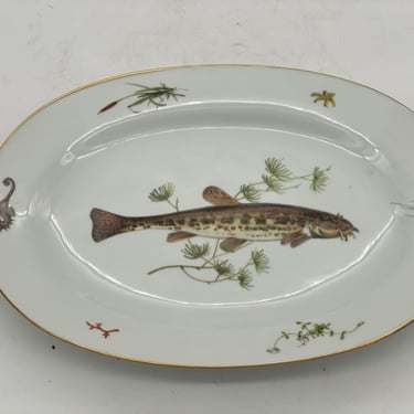 Richard Ginori Quenelle Oval Platter Porcelain Hand Painted Catfish Serving Plate 