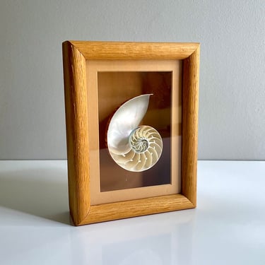 Vintage Seashell Wall Art, Split Chambered Nautilus, Real Shell in Shadow Box - Wood Frame, Coastal 1970's Decor, Gallery Wall, Neutral 