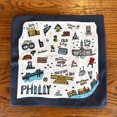 White Icons Philly w blue back 18 x 18 pillow case