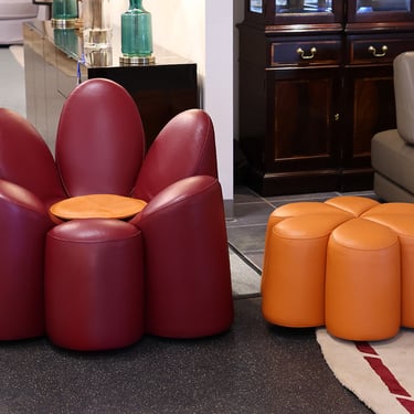 Roche Bobois Mayflower Chair and Ottoman