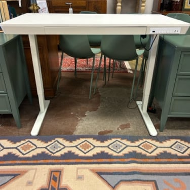 Ergonomic Electric Height Adjustable Standing Desk with Charging USB Port