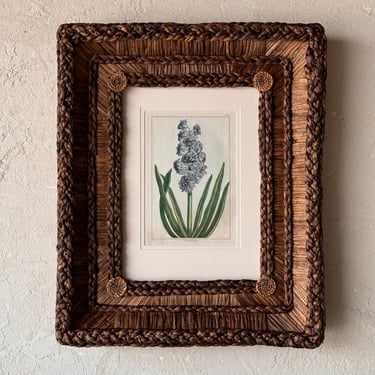 Gusto Woven Frame with 18th C. Dr. Buchoz Botanical Engraving of L’Admirable
